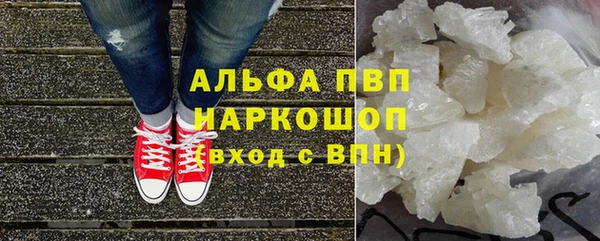 гидра Алексин